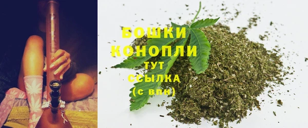 МДПВ Бронницы